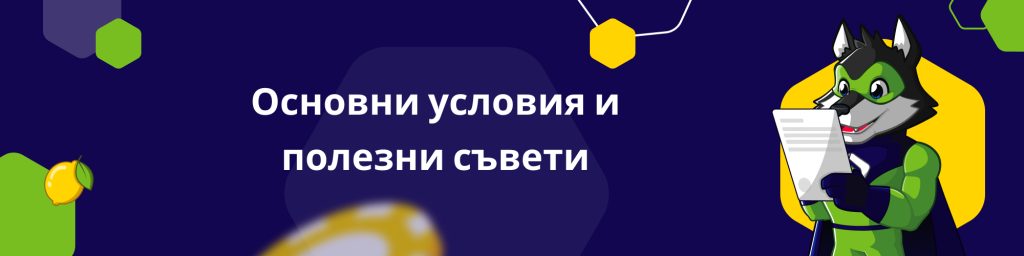 Основни условия и полезни съвети